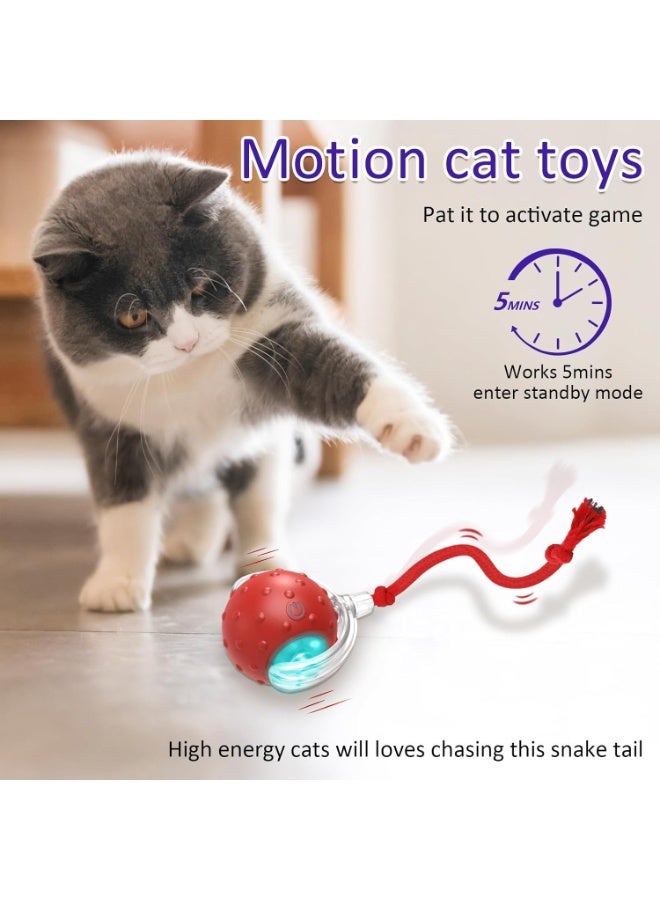 Giociv Store Interactive Cat Toys Ball, Automatic Cat Interactive Toy for Indoor Cats Fast Rolling on Carpet, Chirping & Motion Activate - Image 3